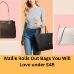 Wallis Rolls Out Bags You Will Love under £45